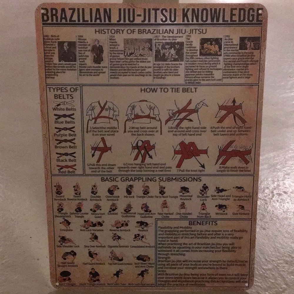 Brazilian Jiu-Jitsu Knowledge Metal Wall Art Poster